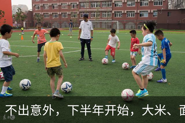 不出意外，下半年开始，大米、面粉、食用油可能迎新一轮行业洗牌