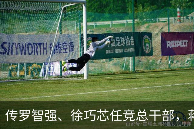 传罗智强、徐巧芯任竞总干部，蒋万安：“台北队”就是团体作战