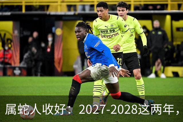 属蛇人收好：2027-2028这两年，日子要换写法了