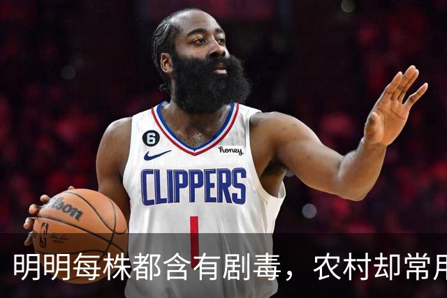 明明每株都含有剧毒，农村却常用来做腌菜，如今为何消失不见？