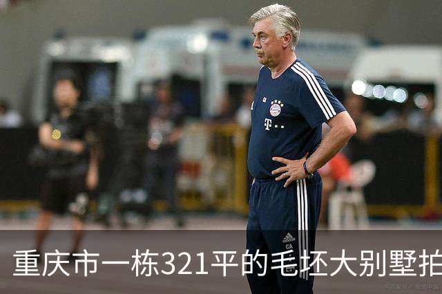 重庆市一栋321平的毛坯大别墅拍卖，被人145万元就买下了