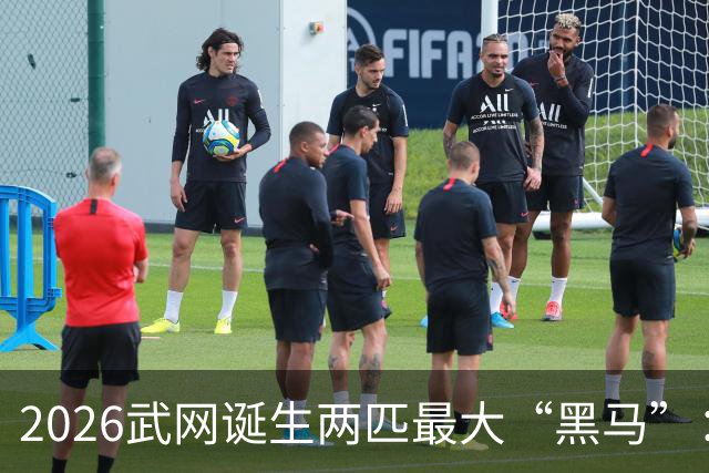 2026武网诞生两匹最大“黑马”：世界排名170的卡塔尔杀进决赛，波兰“月亮姐”击败发小斯瓦泰克晋级，有望夺冠！