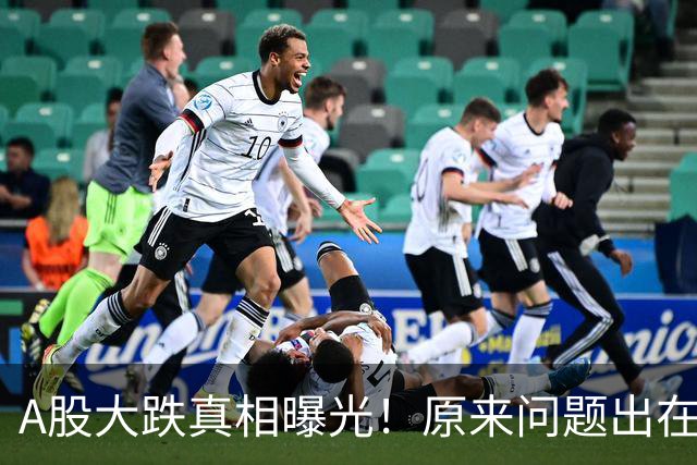 A股大跌真相曝光！原来问题出在这……